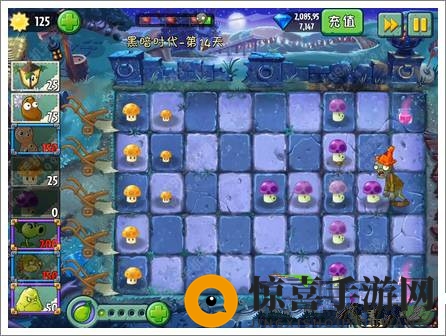 《植物大战僵尸2》黑暗时代第十四关攻略