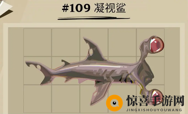 《渔帆暗涌》凝视鲨位置一览