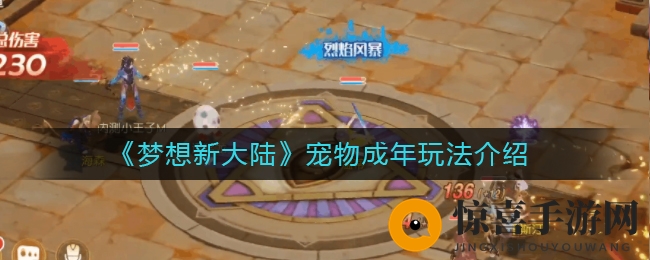 《梦想新大陆》宠物长大玩法揭秘