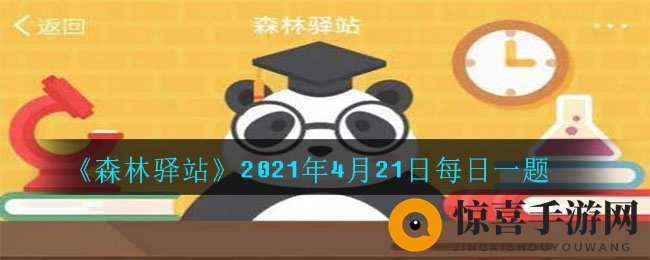 《森林驿站》2021年4月21日每日一题