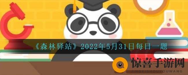 《森林驿站》2022年5月31日每日一题