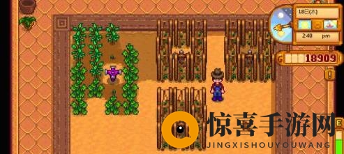 《星露谷物语》淡啤酒酿造方法