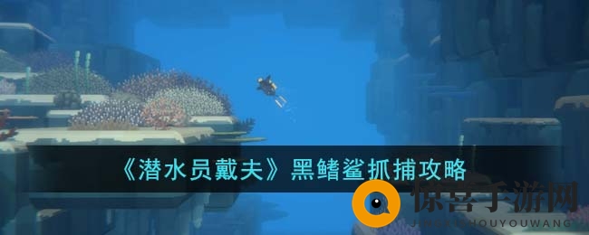 《潜水员戴夫》黑鳍鲨抓捕攻略