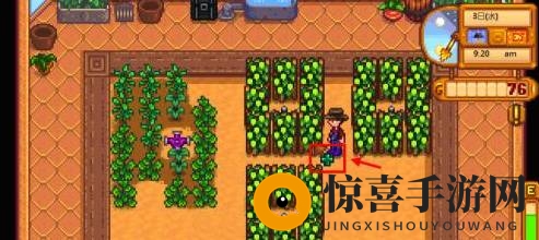 《星露谷物语》淡啤酒酿造方法