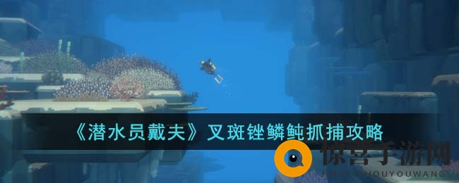 《潜水员戴夫》叉斑锉鳞鲀抓捕攻略