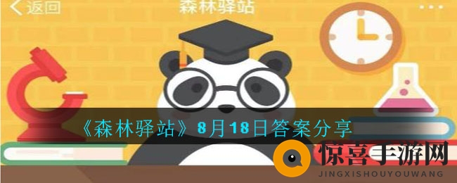 《森林驿站》8月18日答案分享