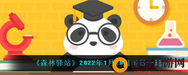 《森林驿站》2022年1月24日每日一题