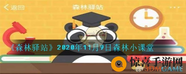 《森林驿站》2020年11月9日森林小课堂