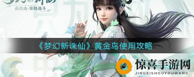 《梦幻新诛仙》黄金鸟使用攻略
