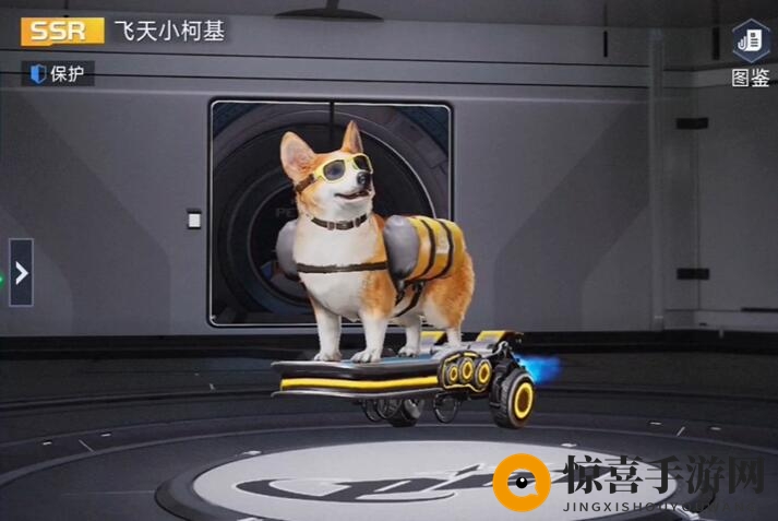 《星球重启》宠物实力榜一瞥