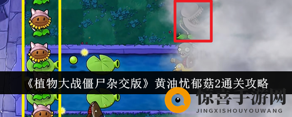 《植物大战僵尸杂交版》黄油忧郁菇2通关秘籍