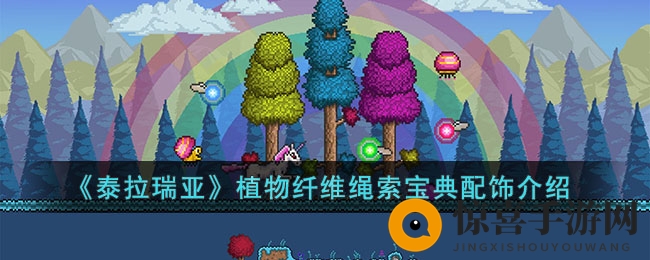 《泰拉瑞亚》植物纤维绳索宝典配饰介绍