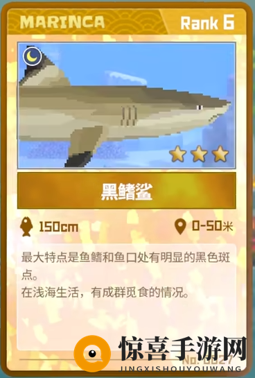 《潜水员戴夫》黑鳍鲨抓捕攻略