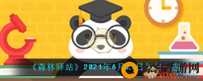 《森林驿站》2021年6月21日每日一题