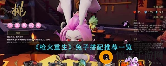 《枪火重生》兔子搭配推荐一览