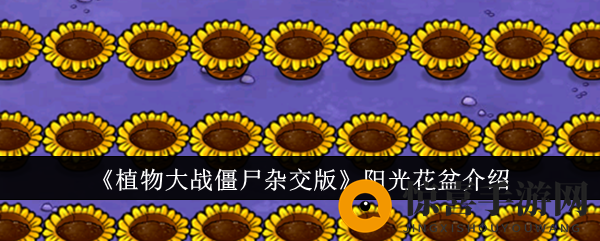 《植物大战僵尸杂交版》阳光花盆揭秘