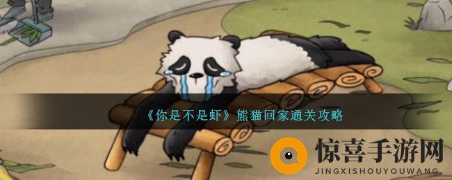 《你是不是虾》熊猫回家攻略大揭秘：创新解谜游戏带你领略智慧世界